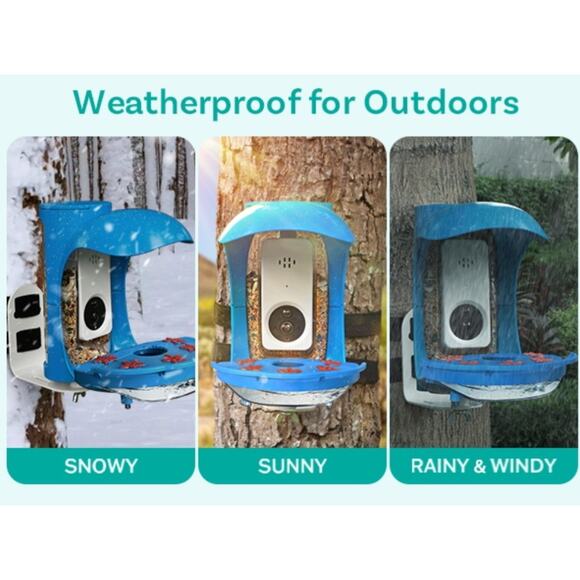 BirdDock Smart Solar Powered Bird Feeder with Camera (Reg.$210) - Picture 11 of 14